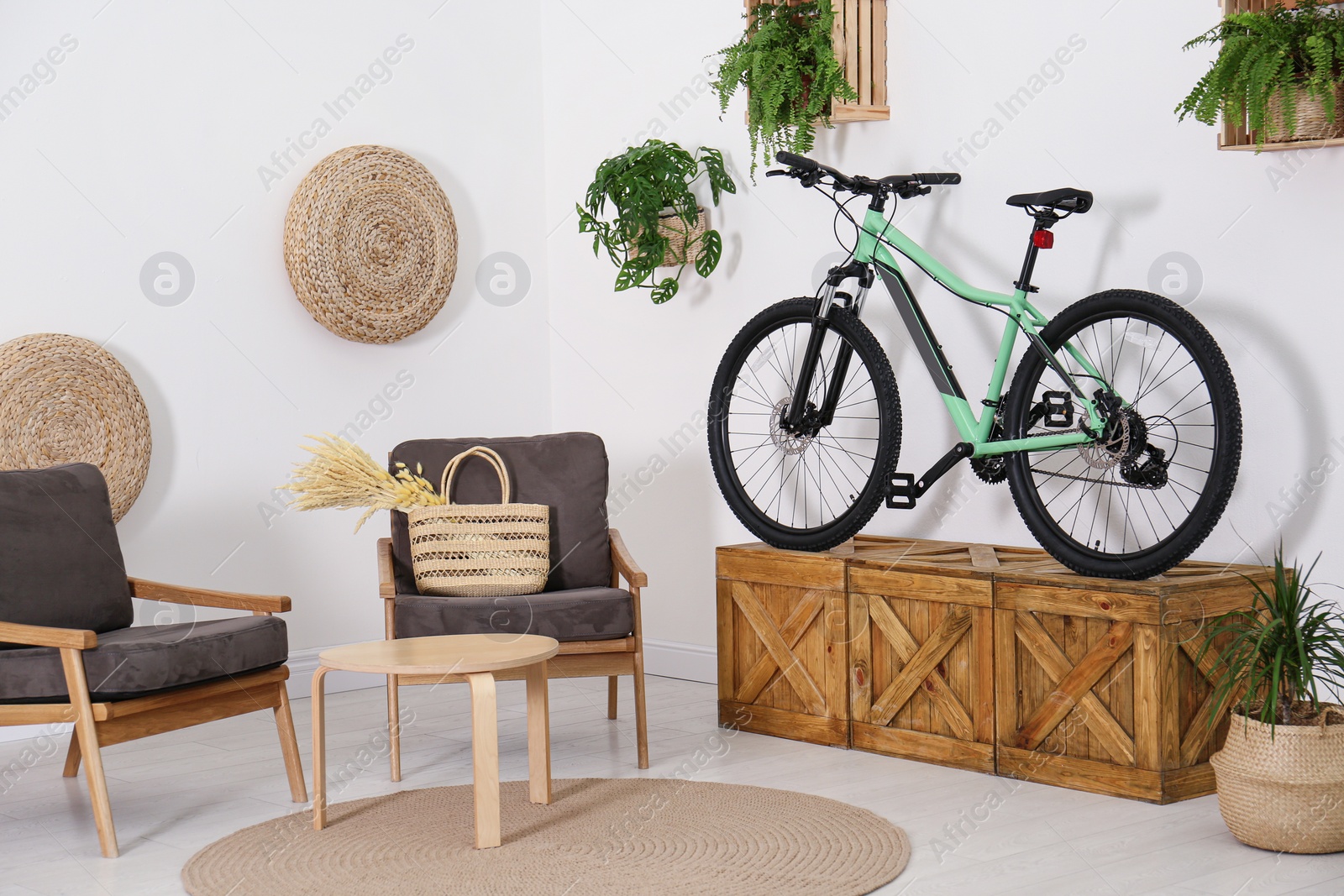 Photo of Modern bicycle and comfortable armchairs in stylish living room interior