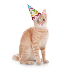 Adorable yellow tabby cat with party hat on white background