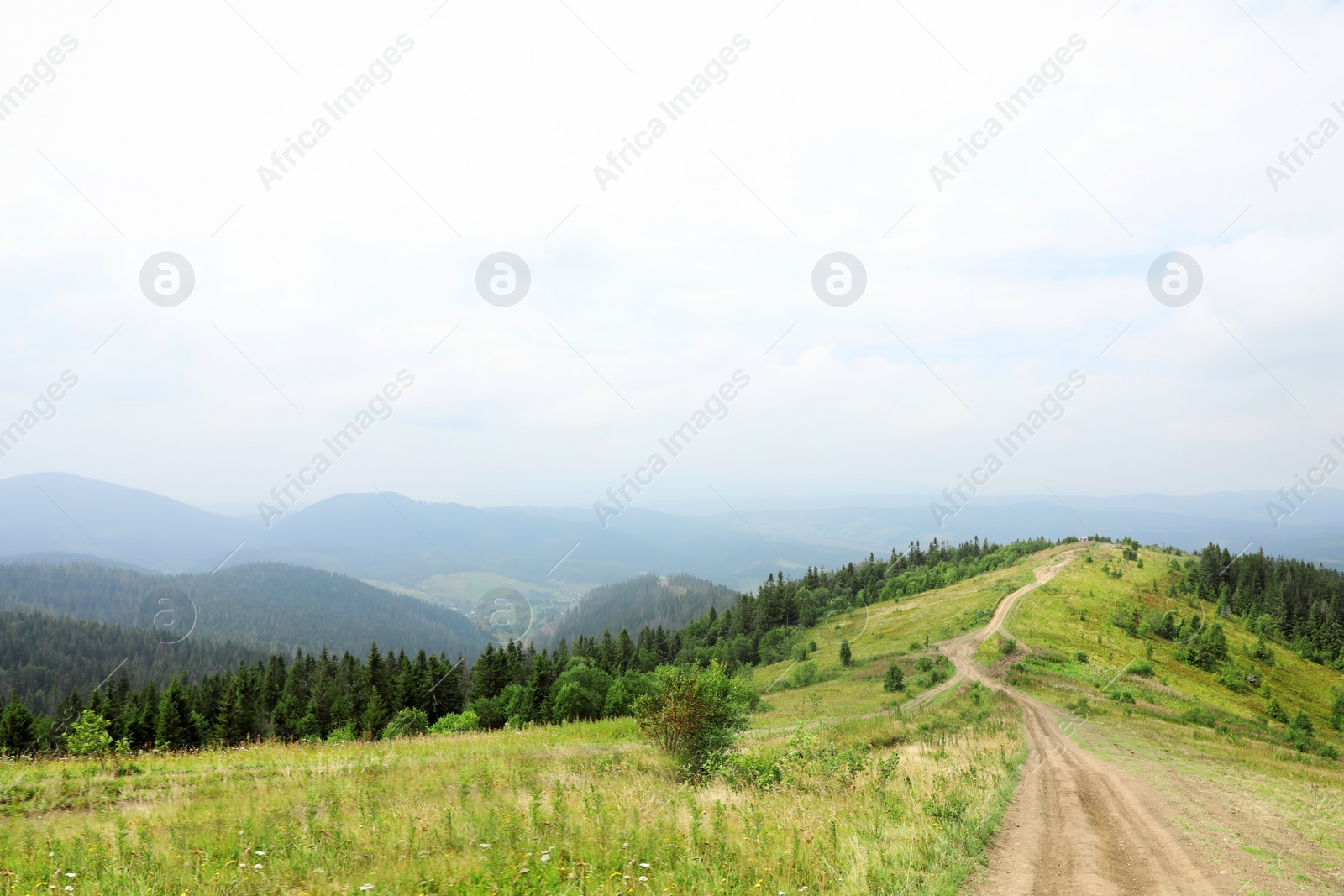 Photo of Picturesque landscape with pathway in mountains
