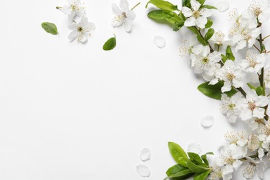 Photo of Blossoming spring tree branch as border on light background, flat lay. Space for text