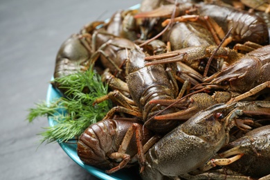 Photo of Fresh raw crayfishes with dill on black table, closeup