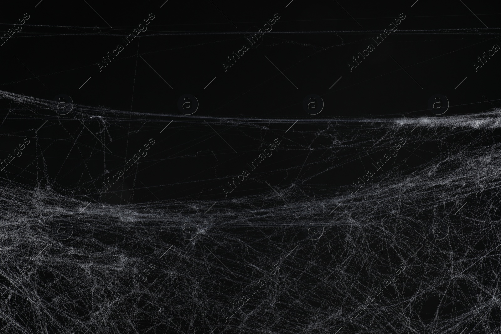 Photo of Creepy white spider web on black background