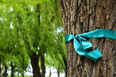 Teal ribbon tied to tree outdoors, space for text