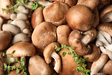 Different fresh wild mushrooms as background, above view