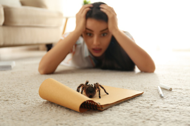 Photo of Young woman and tarantula on carpet. Arachnophobia (fear of spiders)
