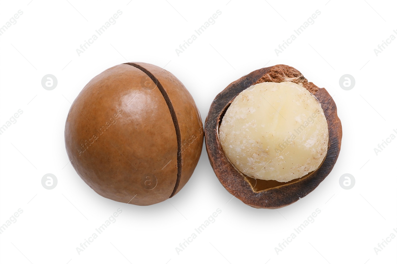 Photo of Delicious organic Macadamia nuts isolated on white, top view