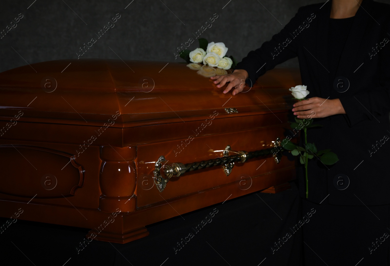 Photo of Young woman with white rose near casket in funeral home, closeup