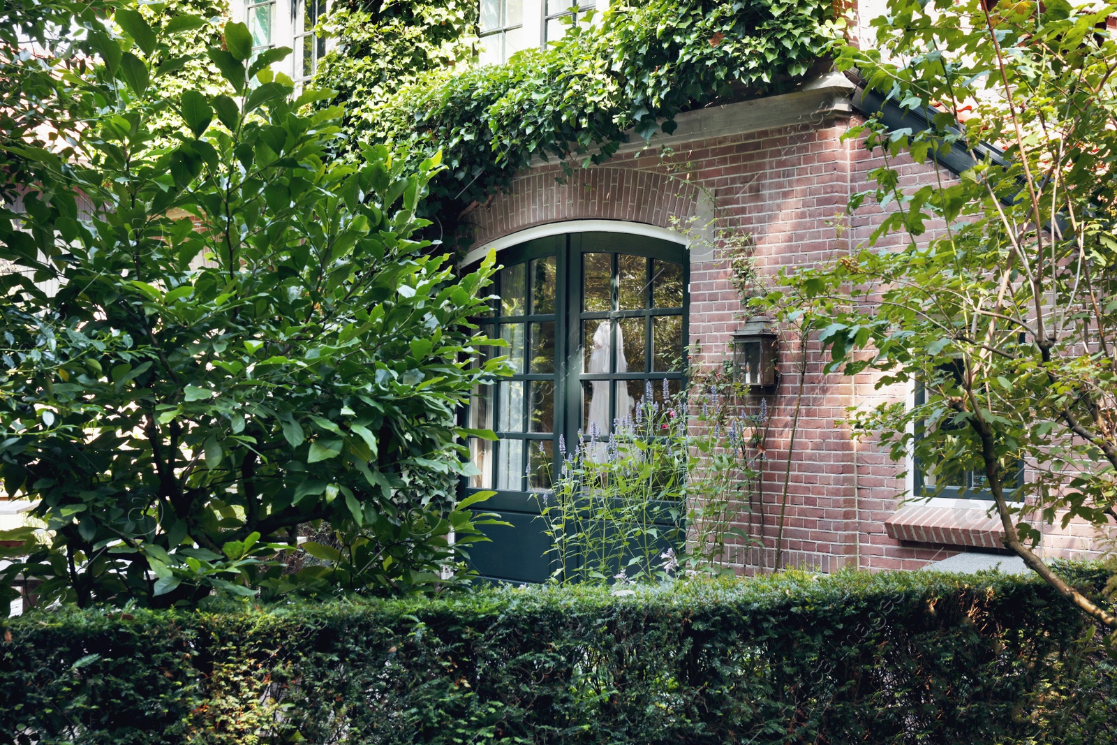 Photo of Picturesque view of beautiful house and plants on sunny day