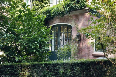 Photo of Picturesque view of beautiful house and plants on sunny day