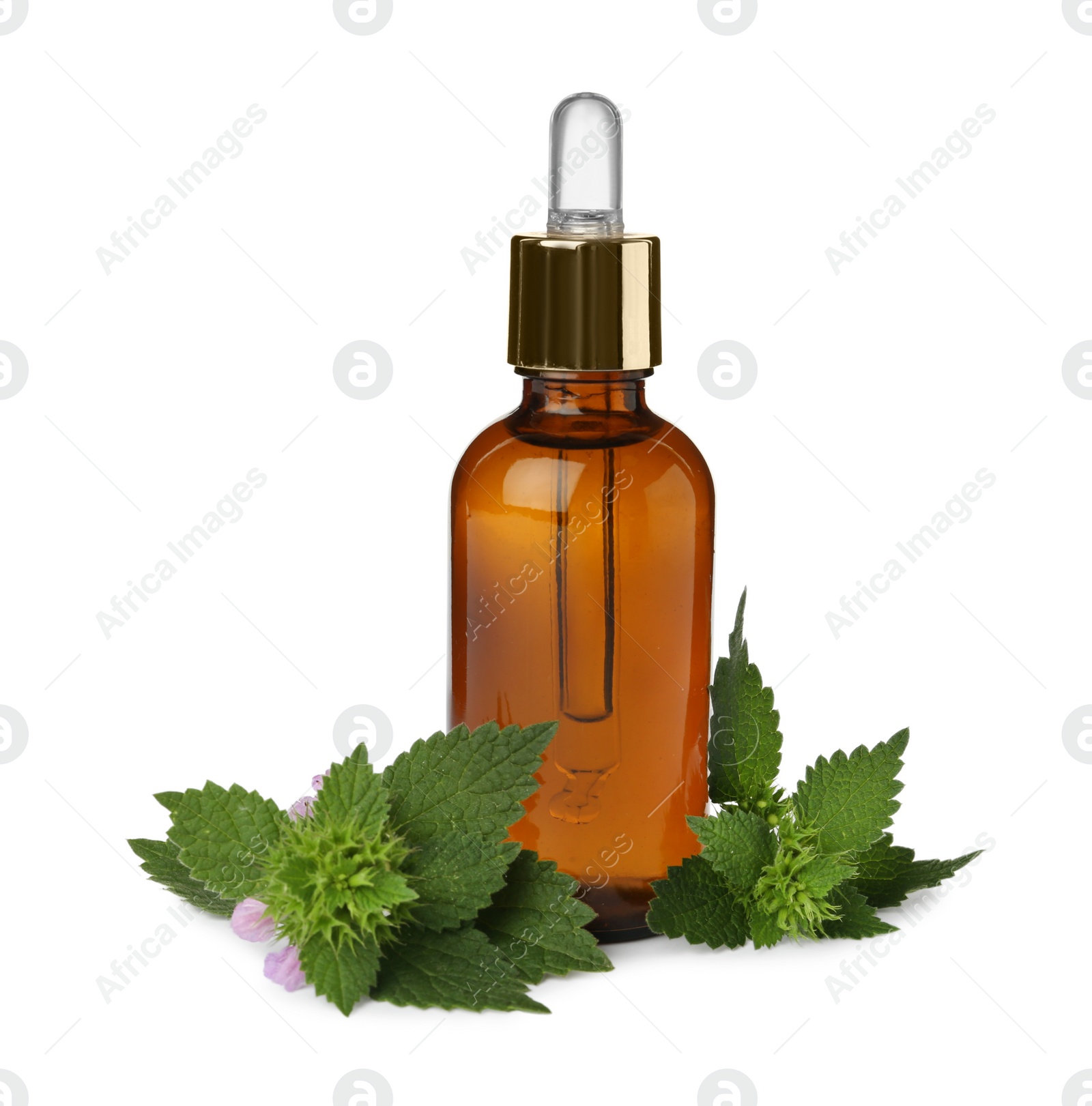 Photo of Glass bottle of nettle oil with dropper and leaves isolated on white