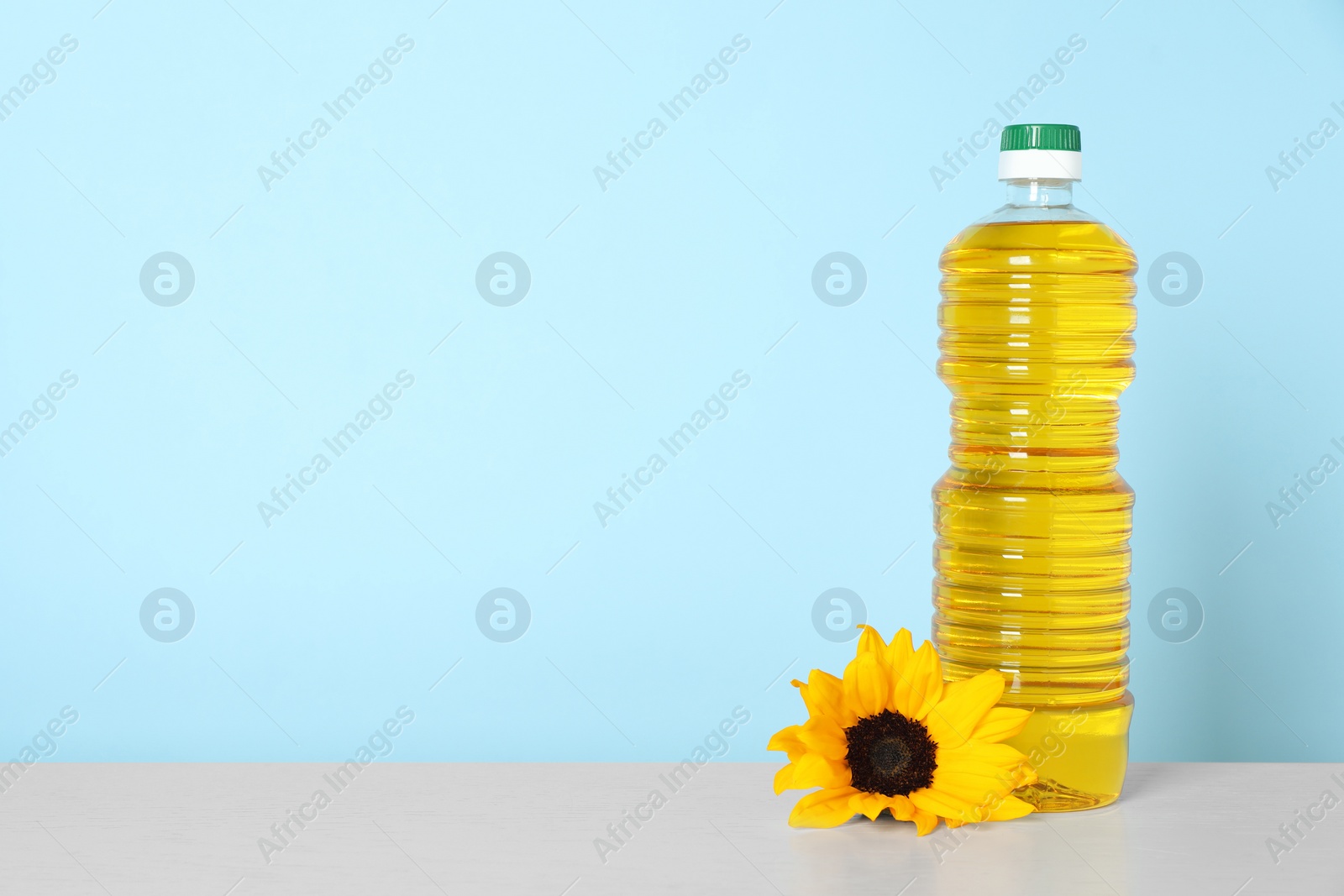 Photo of Bottle of cooking oil and sunflower on white table, space for text