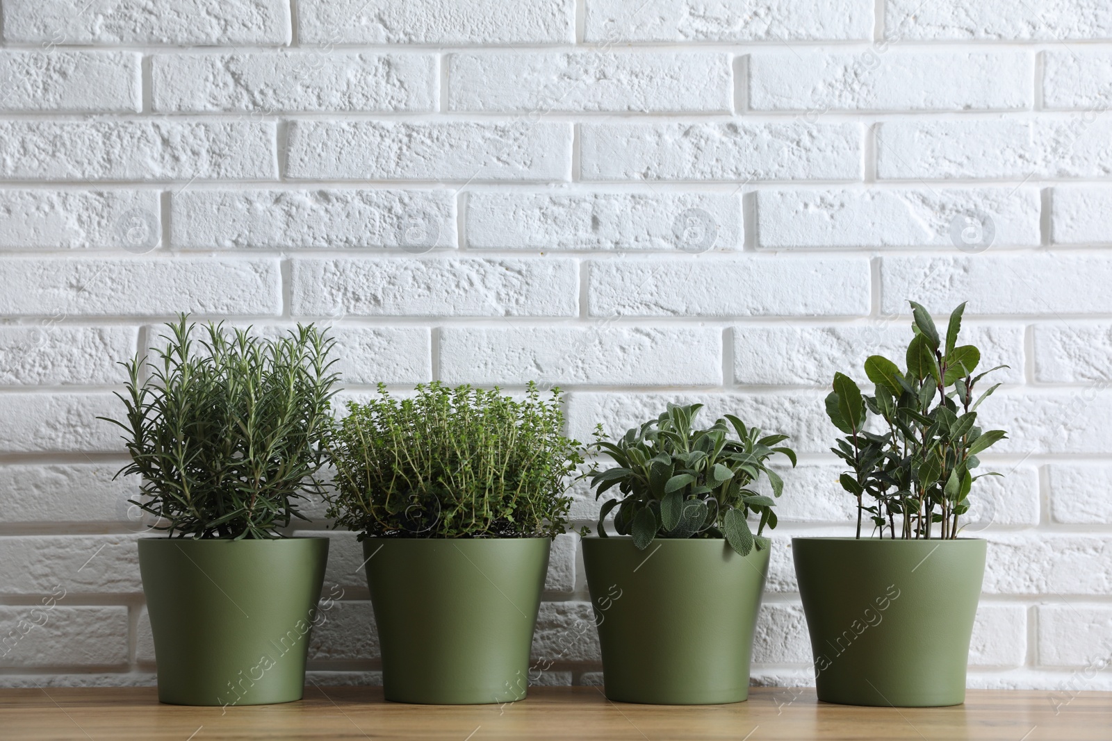 Photo of Different aromatic potted herbs on wooden table near white brick wall