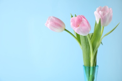 Photo of Beautiful pink spring tulips on light blue background. Space for text