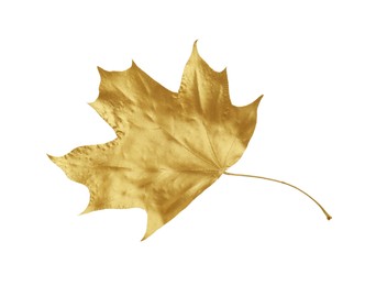 One golden maple leaf isolated on white. Autumn season
