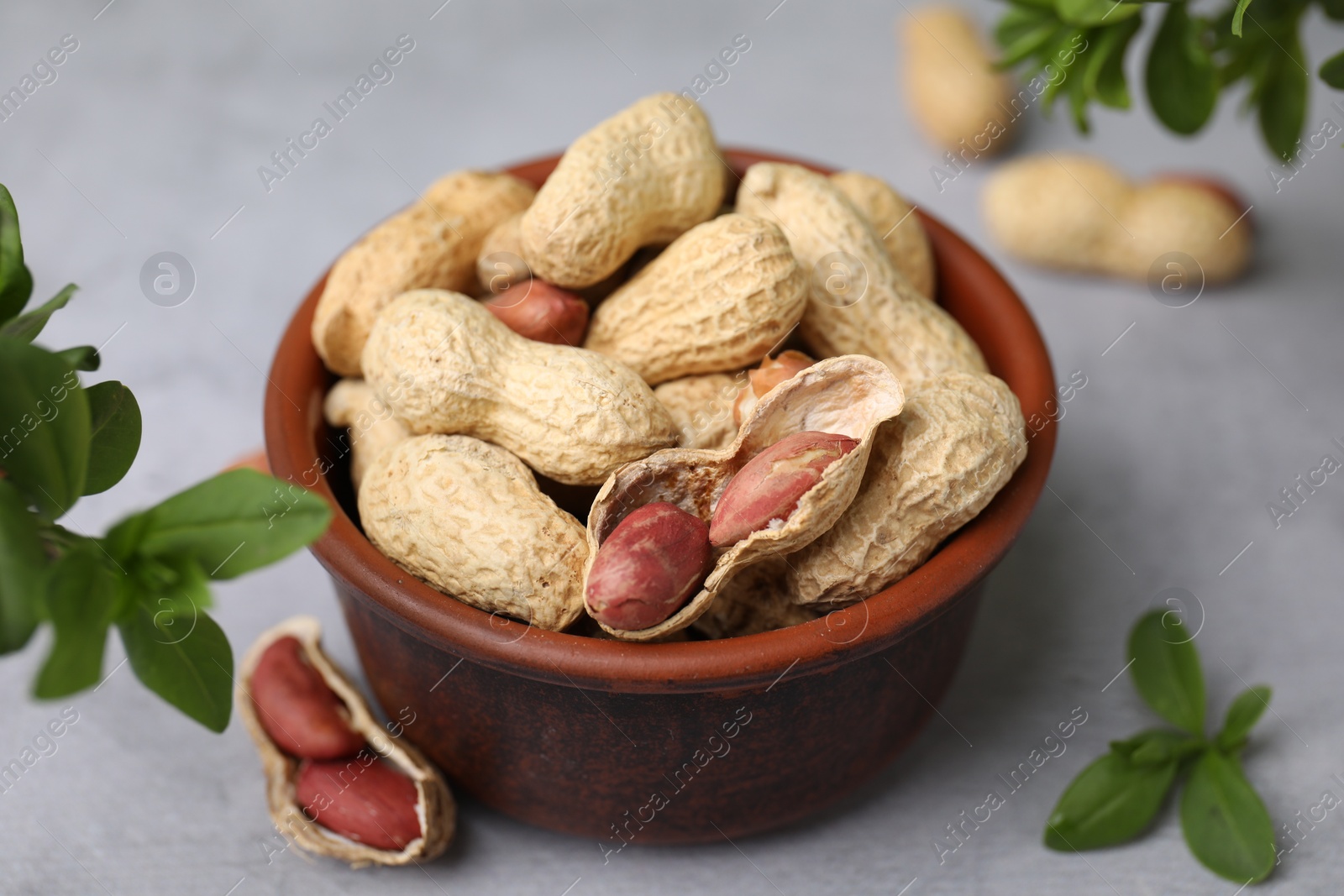 Photo of Fresh unpeeled peanuts in bowl and leaves on grey table, closeup