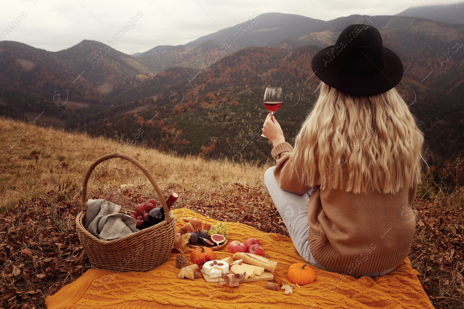 Image of Young woman with glass of wine having picnic in mountains on autumn day, back view