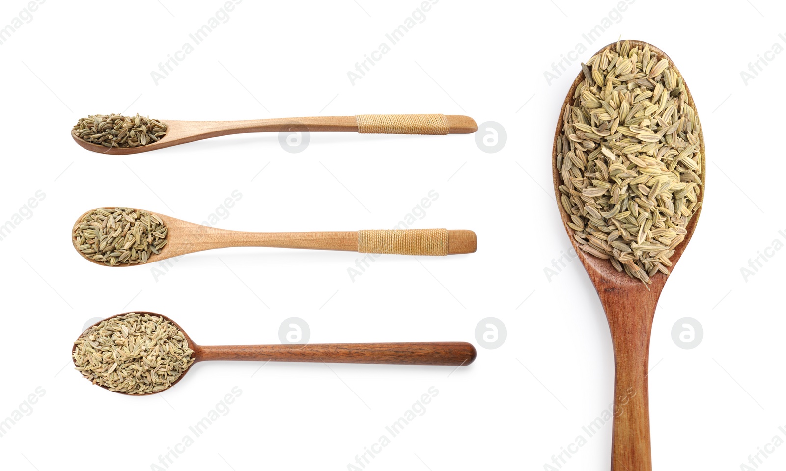 Image of Fennel seeds in spoons isolated on white, set