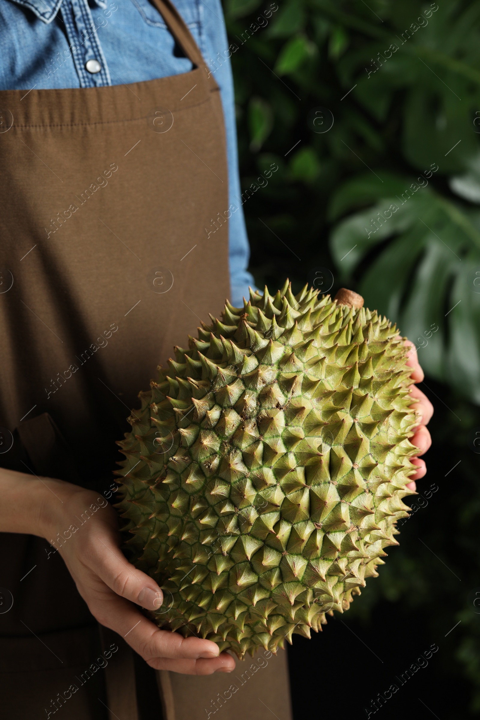 Photo of Woman holding fresh ripe durian outdoors, closeup