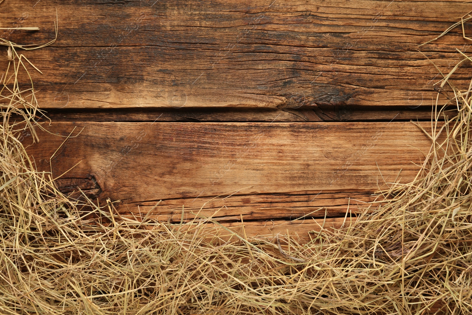 Photo of Dried hay on wooden background, flat lay. Space for text