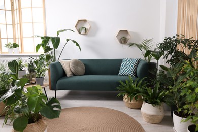 Relaxing atmosphere. Many different potted houseplants near sofa in room