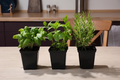 Photo of Pots with basil, mint and rosemary on wooden table in kitchen