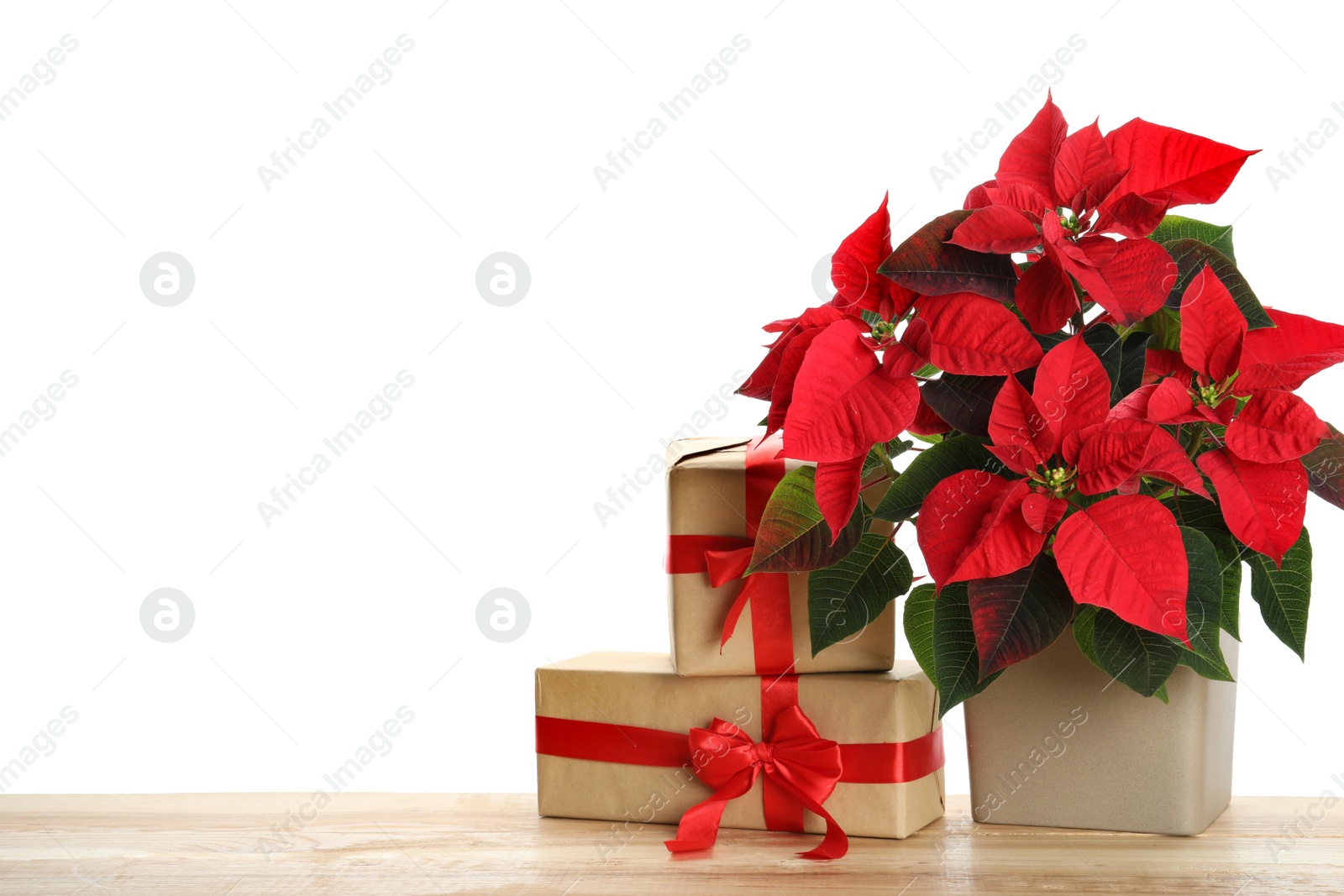 Photo of Red Poinsettia in pot and gifts on wooden table, space for text. Christmas traditional flower