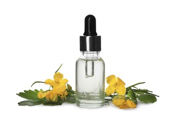 Photo of Bottle of essential oil and celandine on white background