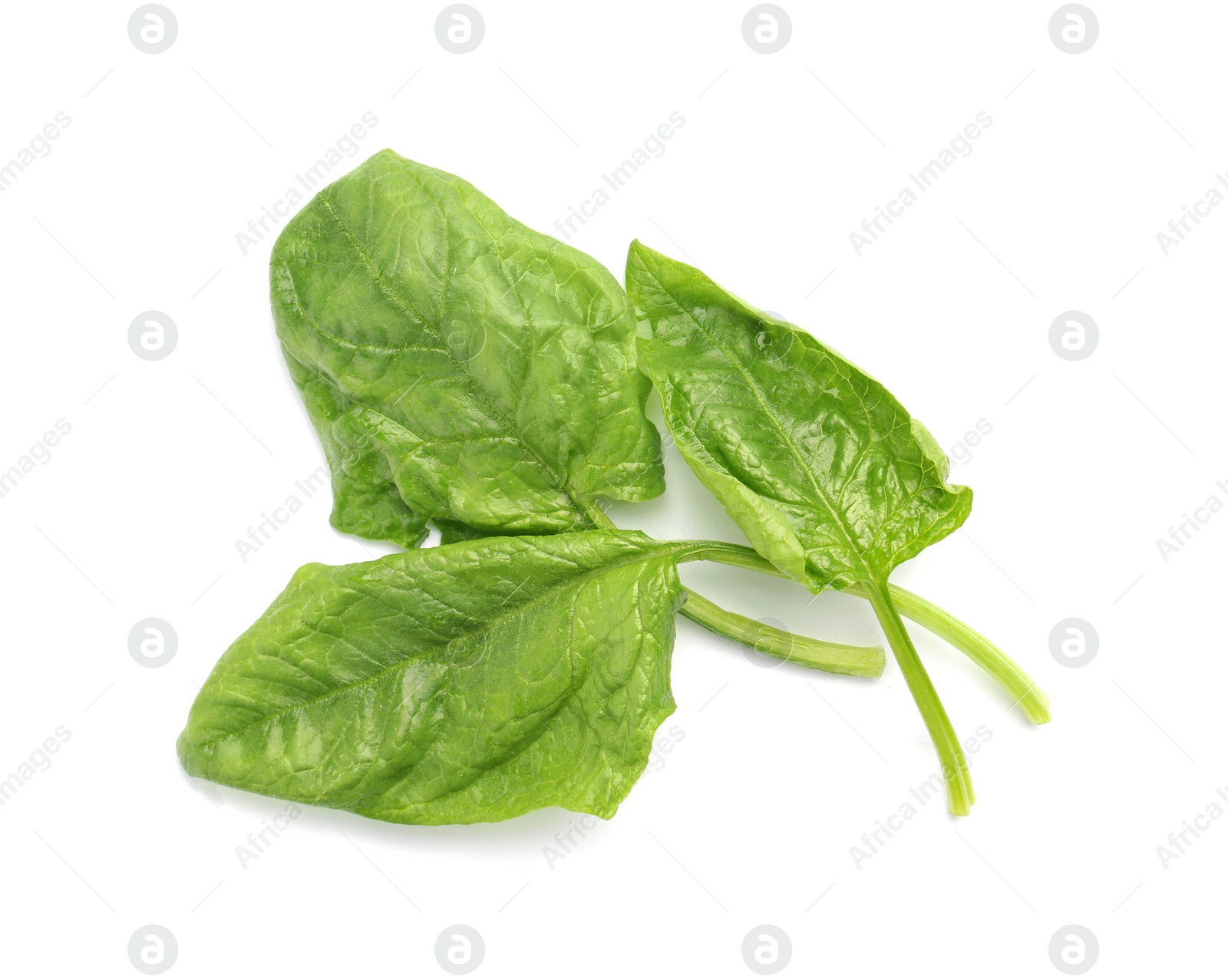 Photo of Fresh leaves of spinach isolated on white, top view