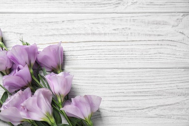 Photo of Beautiful fresh Eustoma flowers on white wooden table, flat lay. Space for text