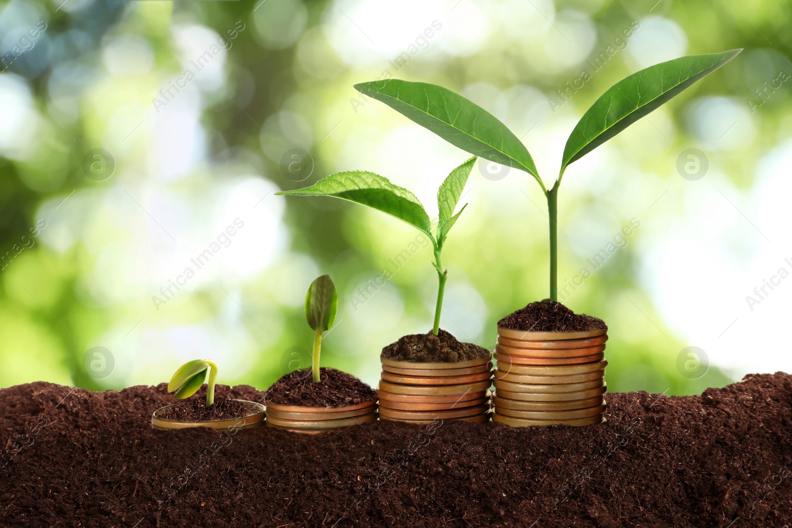 Image of Stacked coins and green seedlings on ground outdoors, bokeh effect. Investment concept