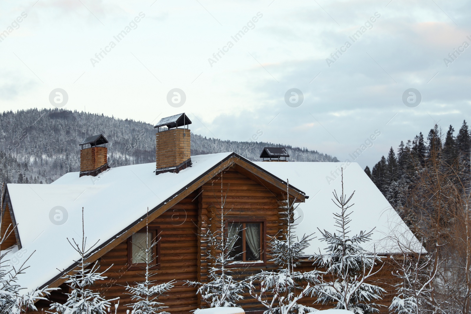 Photo of Wooden cottage and fir trees covered with snow in winter morning