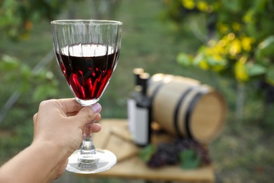 Photo of Woman holding glass of wine in vineyard, closeup