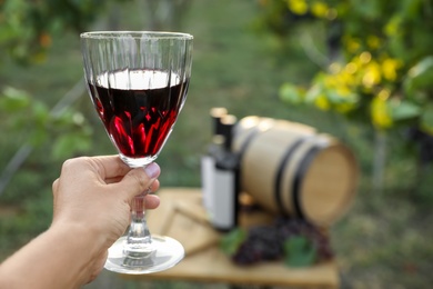 Woman holding glass of wine in vineyard, closeup