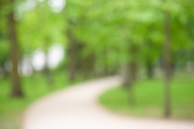 Walkway between trees in park, blurred view