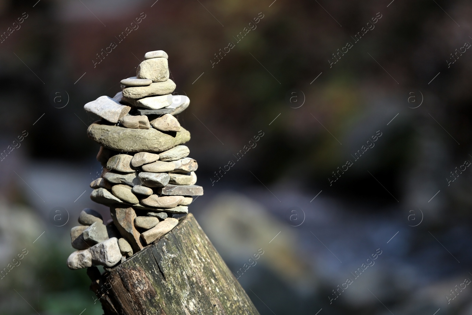 Photo of Tower of balancing stones on tree stump in forest. Space for text