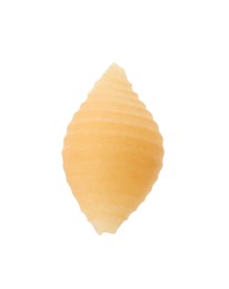 One piece of raw conchiglie pasta isolated on white