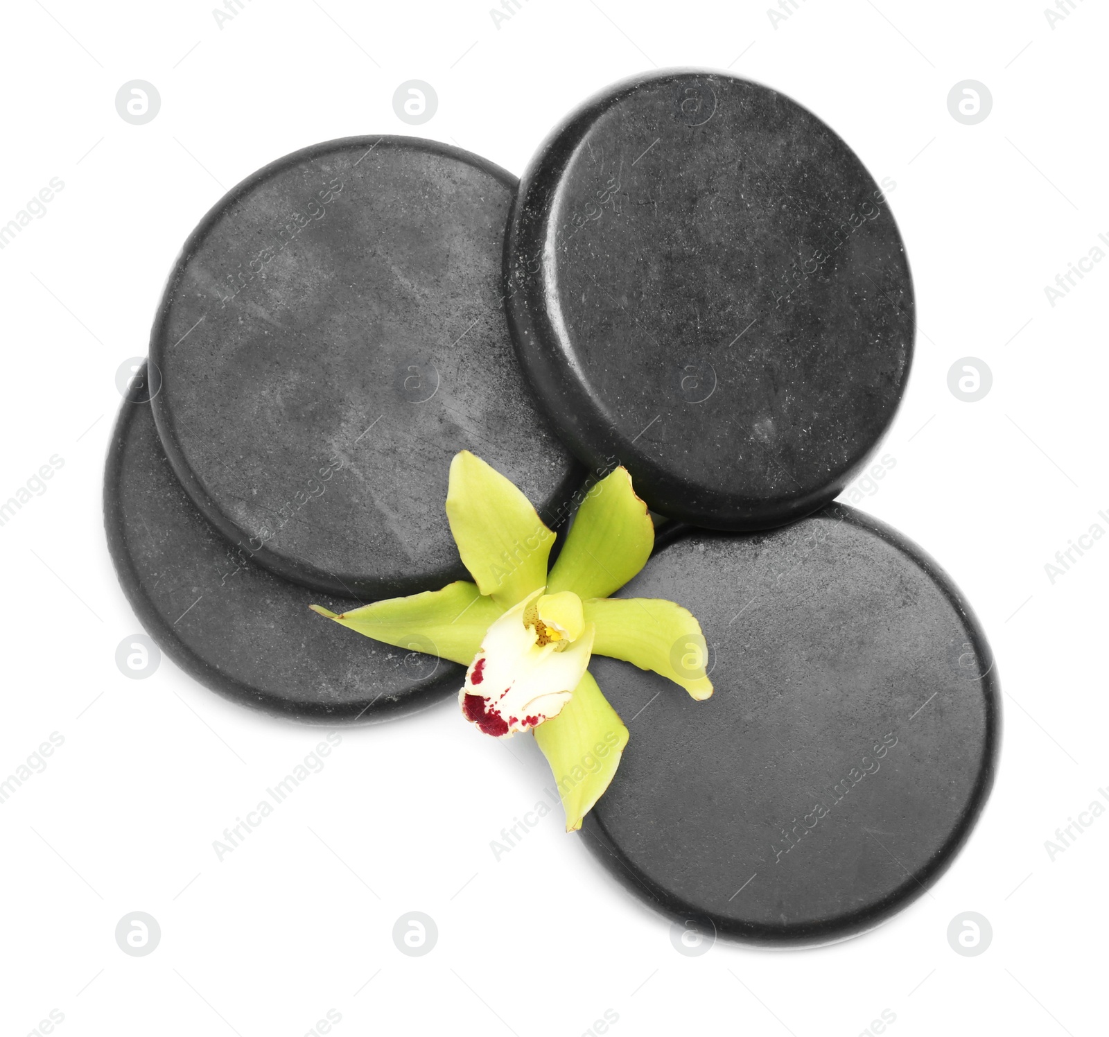 Photo of Beautiful orchid flower and spa stones on white background, top view