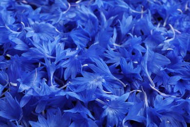 Photo of Beautiful blue cornflowers petals as background, closeup view