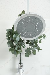 Photo of Branches with green eucalyptus leaves in shower