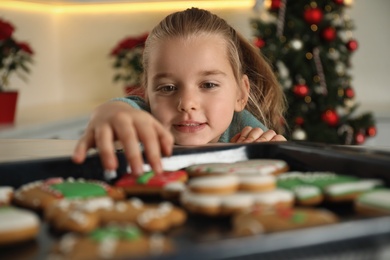 Cute little girl taking fresh Christmas gingerbread cookie from baking sheet at table indoors