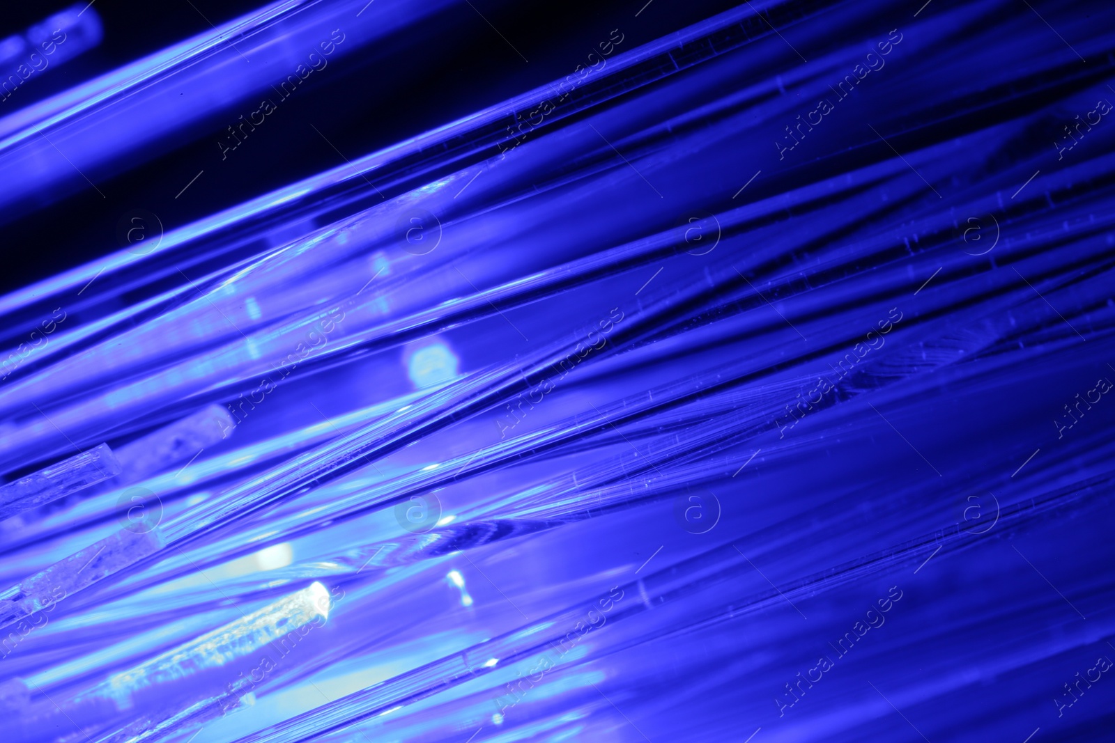 Photo of Optical fiber strands transmitting blue light, macro view