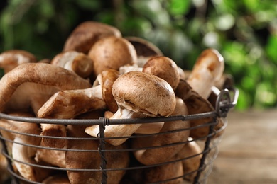 Photo of Different wild mushrooms in metal basket on table, closeup