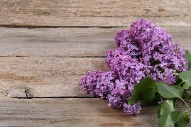 Photo of Beautiful lilac flowers on wooden table, space for text