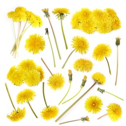 Set with beautiful yellow dandelions on white background