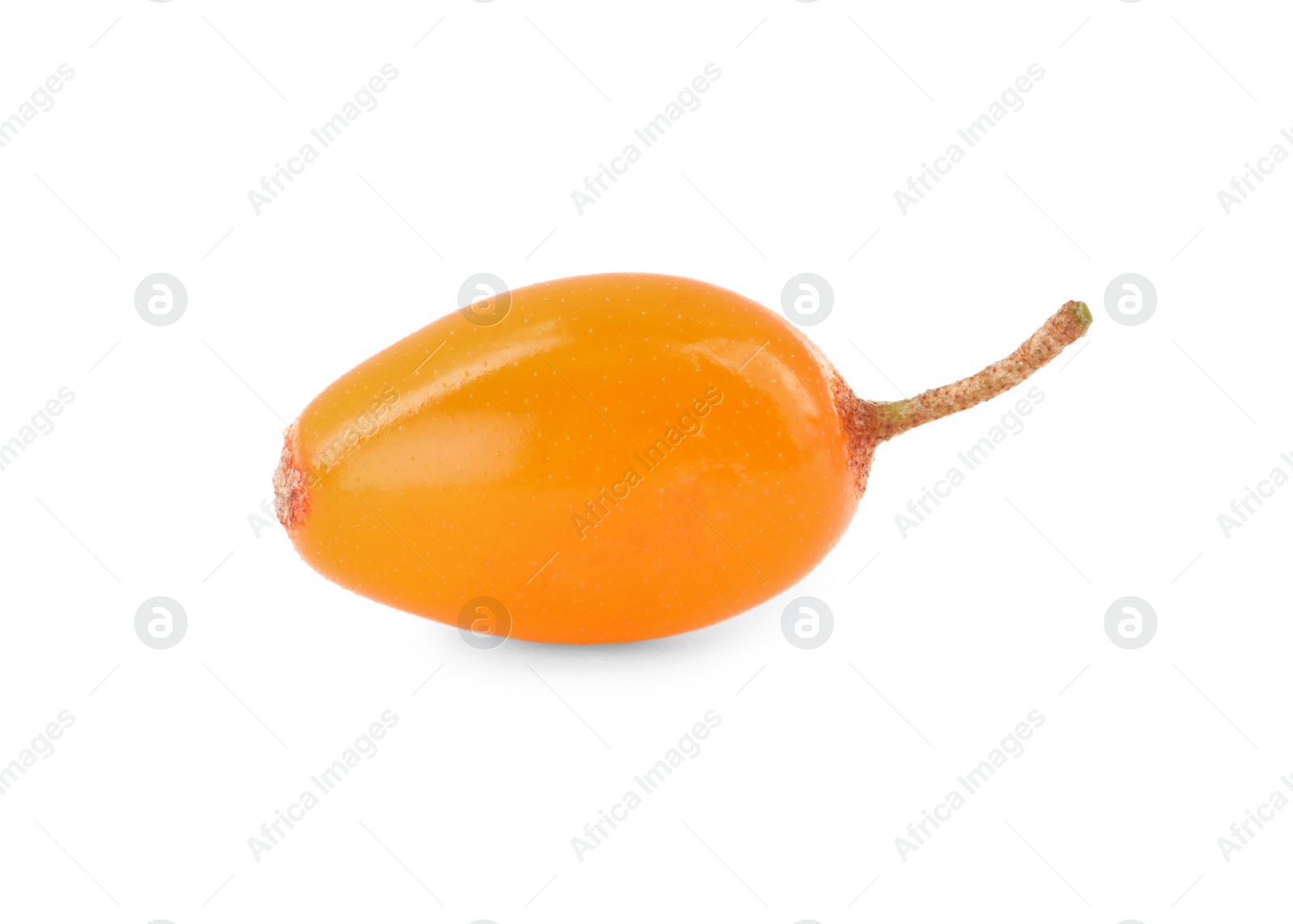 Photo of Fresh ripe sea buckthorn berry isolated on white