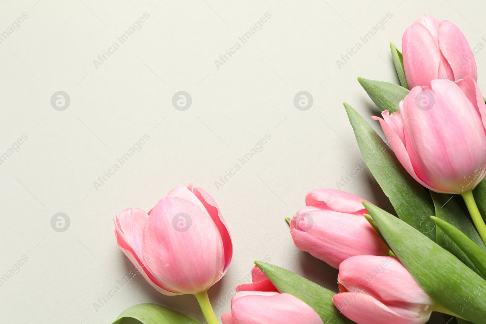 Photo of Happy Mother's Day. Beautiful tulips on light background, flat lay. Space for text