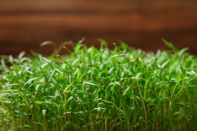 Photo of Fresh organic microgreen on wooden background, closeup