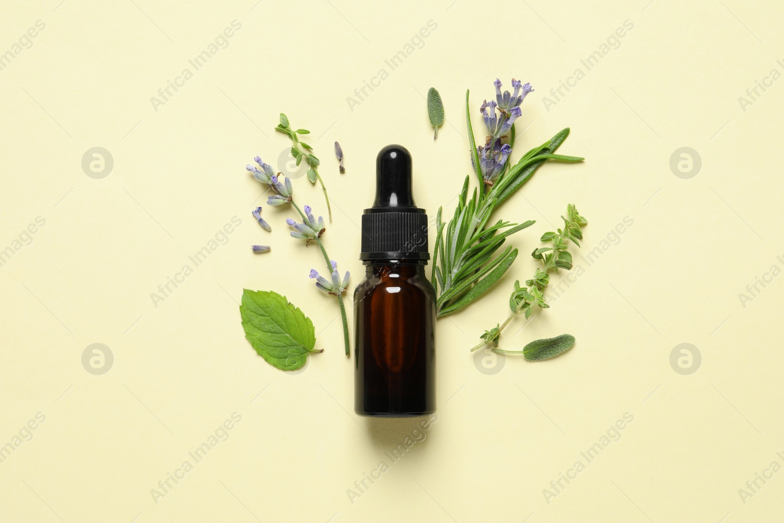 Photo of Bottle of essential oil and different herbs on beige background, flat lay