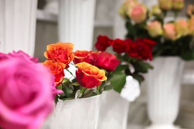 Photo of Beautiful flowers in shop