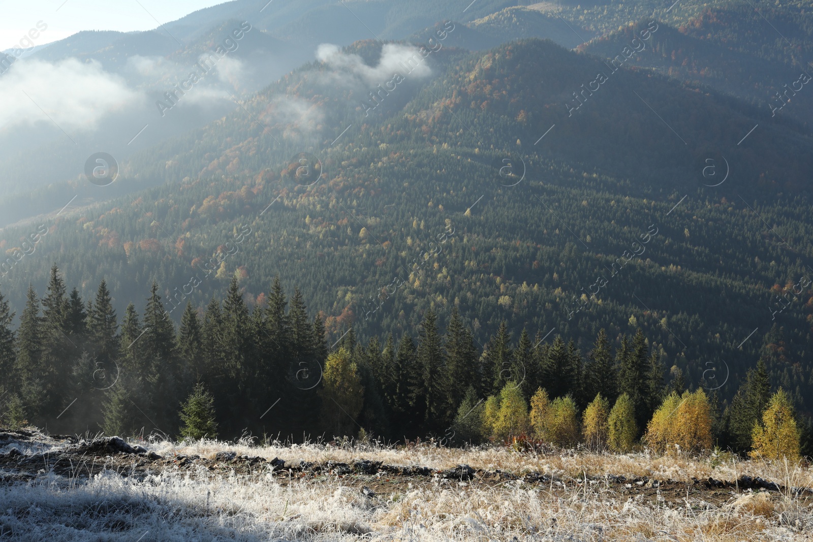 Photo of Beautiful mountain landscape in morning. Sunlit grass covered with hoarfrost